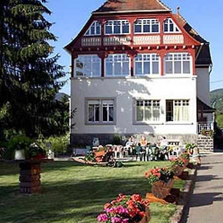 Villa Du Sendenbach Muhlbach-sur-Munster Bagian luar foto