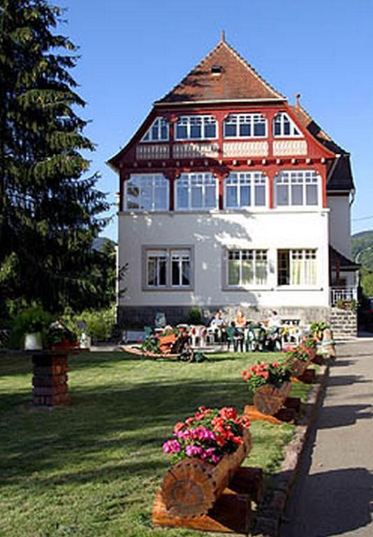 Villa Du Sendenbach Muhlbach-sur-Munster Bagian luar foto